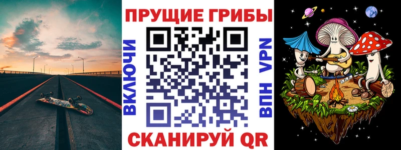 Псилоцибиновые грибы мицелий гидра сайт Каменск-Шахтинский